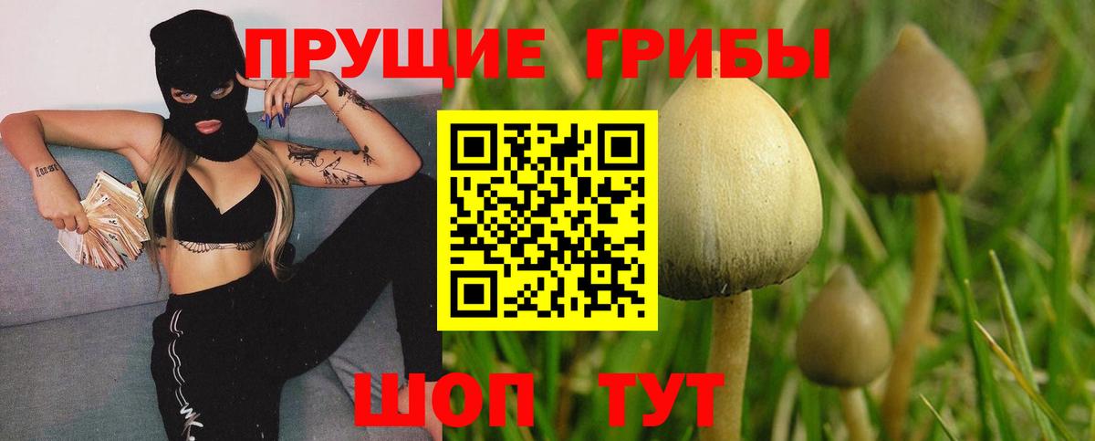 Галлюциногенные грибы Cubensis Щёлково