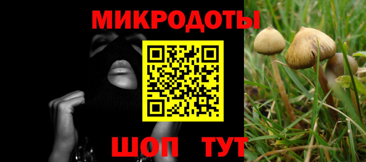 дарнет шоп  Псилоцибиновые грибы ЛСД  Вход с VPN  Щёлково  Галлюциногенные грибы GOLDEN TEACHER 